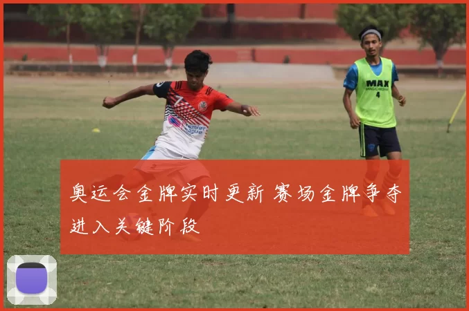 奥运会金牌实时更新 赛场金牌争夺进入关键阶段