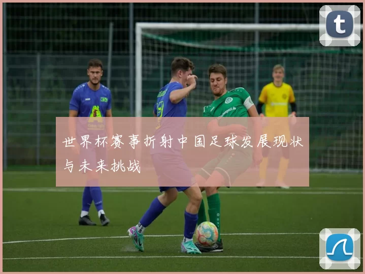 世界杯赛事折射中国足球发展现状与未来挑战