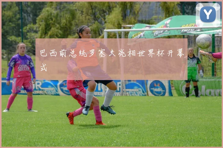 巴西前总统罗塞夫亮相世界杯开幕式
